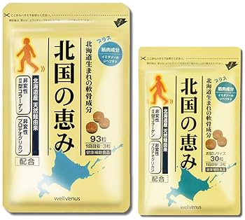 2袋セット 北国の恵み 93粒入 Amazon | 北国の恵み (93粒/約1か月分) プロテオグリカン 2型
